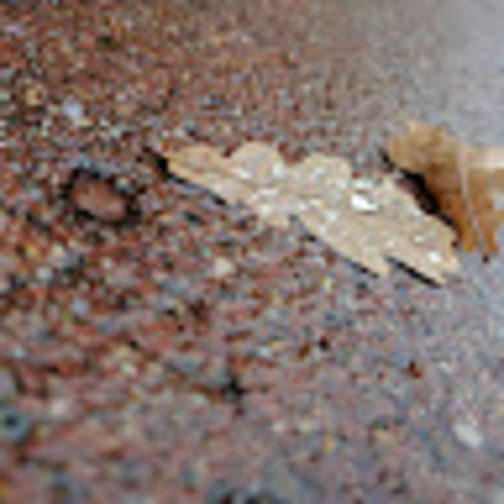 Meet your Posher, Alissa